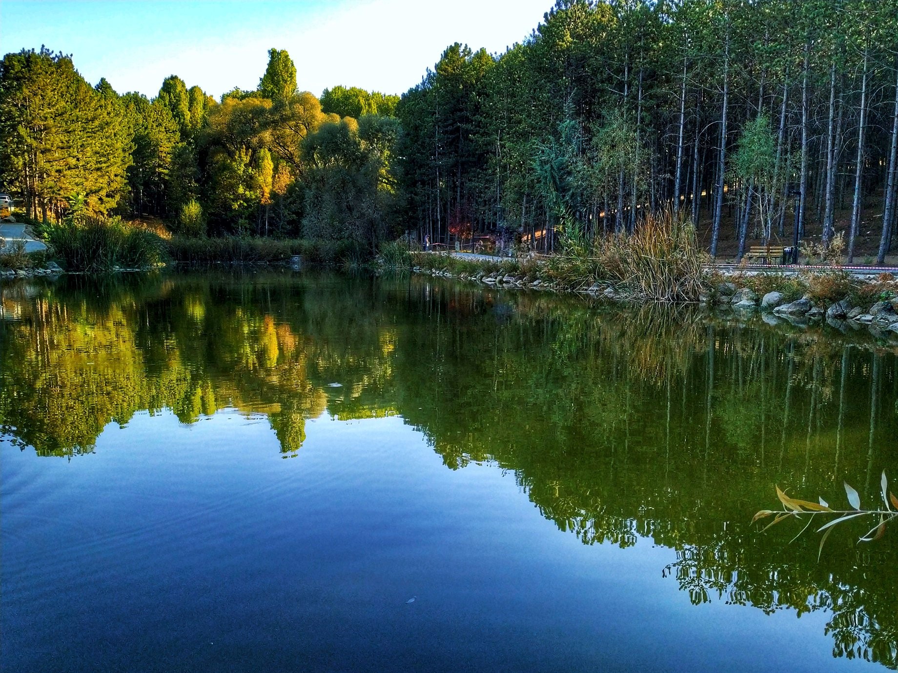 Beytepe Yerleşkesindeki gölet